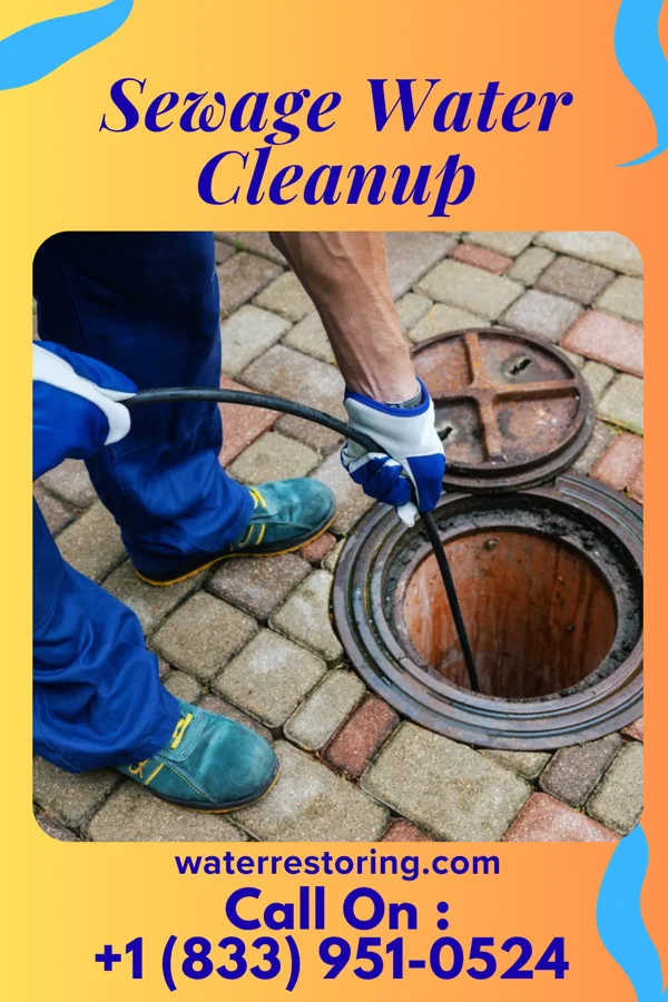 Sewage Water Cleanup in Timken, KS