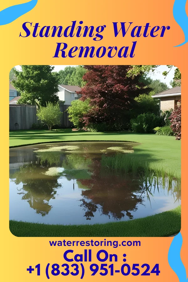 Standing Water Removal in Timken, KS